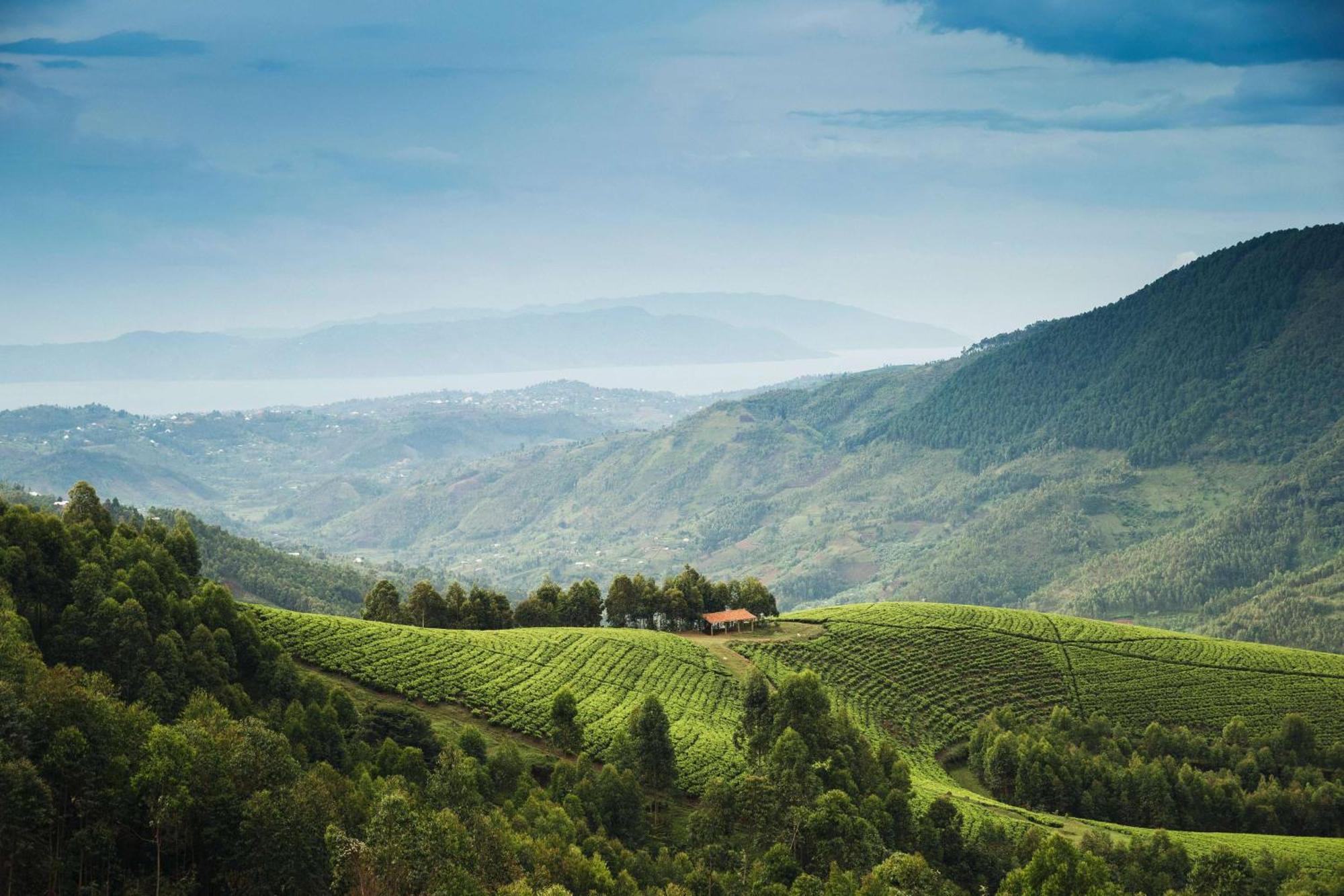RwumbaOne&Only Nyungwe House别墅 外观 照片