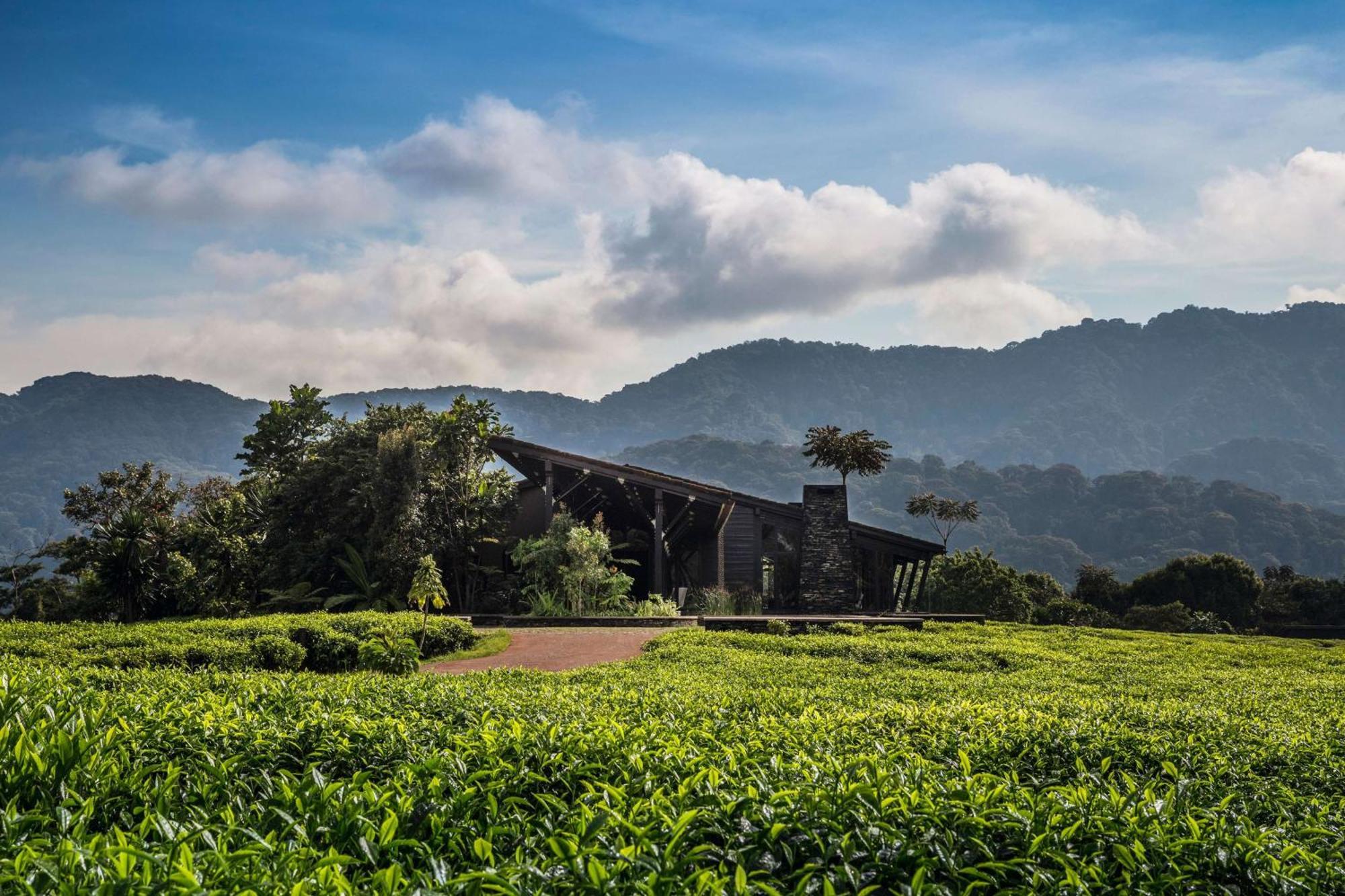 RwumbaOne&Only Nyungwe House别墅 外观 照片