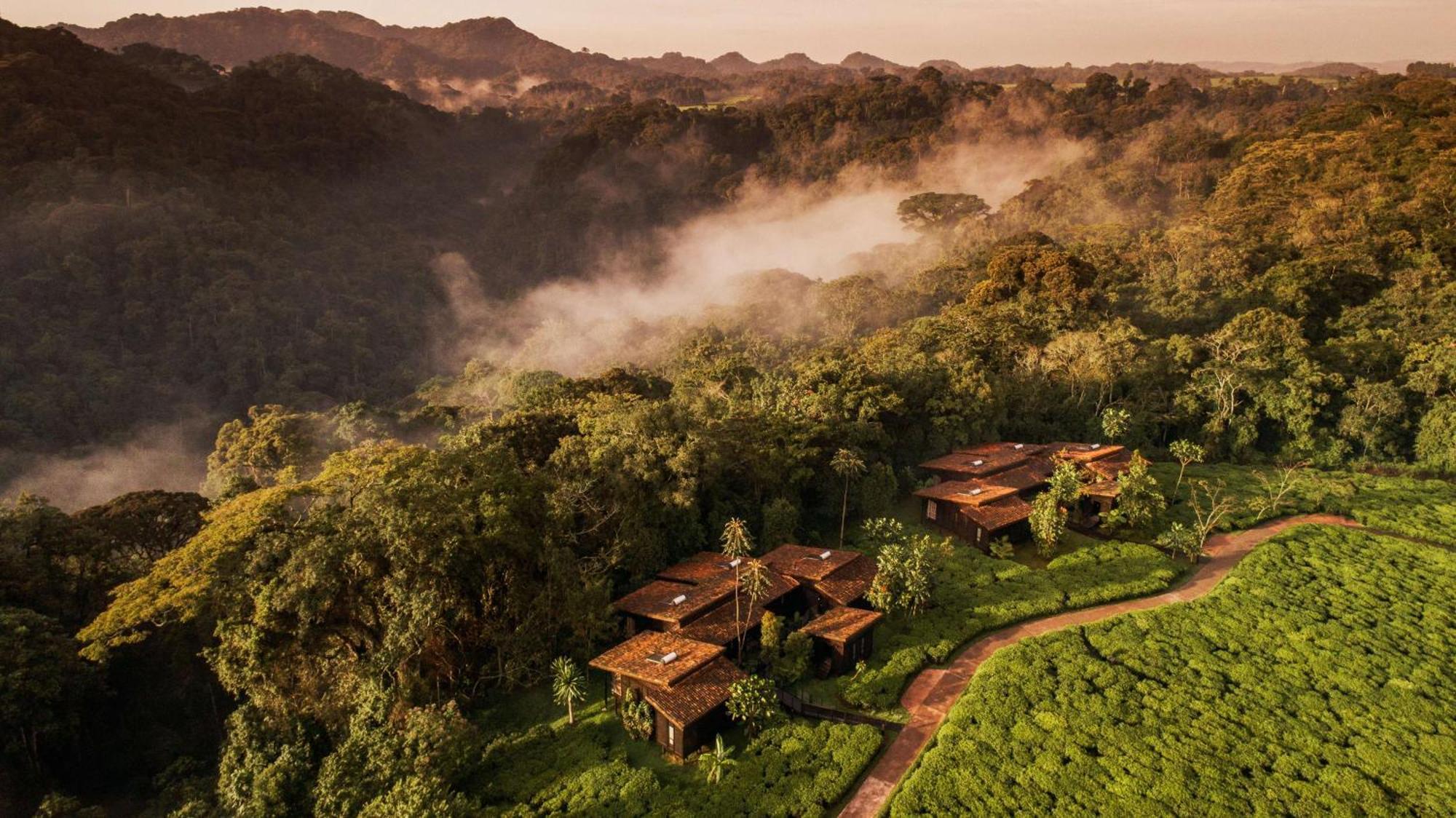 RwumbaOne&Only Nyungwe House别墅 外观 照片