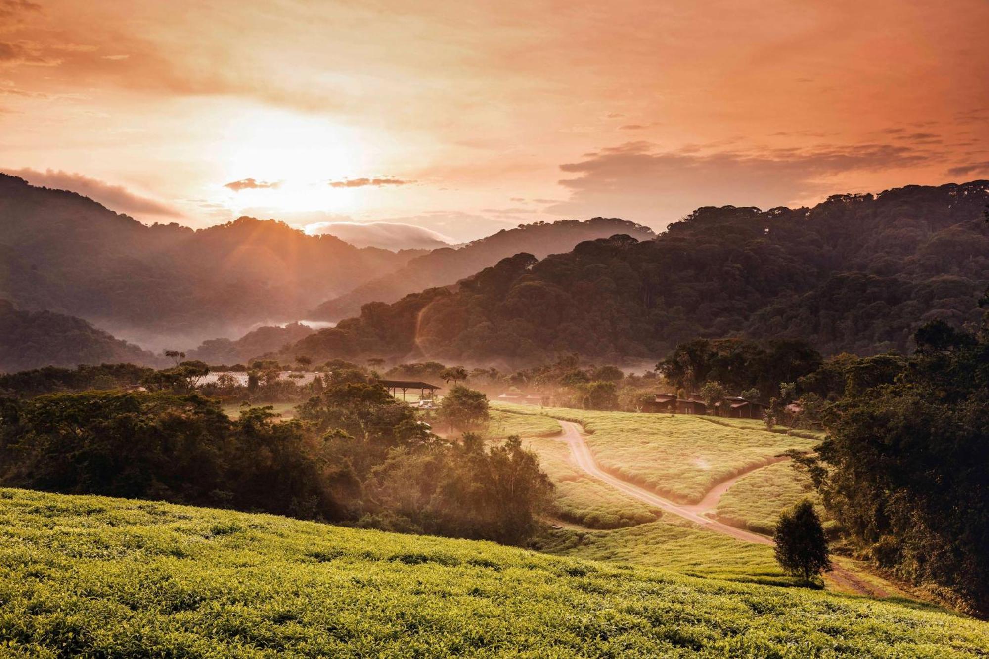 RwumbaOne&Only Nyungwe House别墅 外观 照片